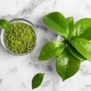 Amla Extract (Phyllanthus emblica)