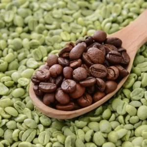 Green Coffee Bean (Coffea arabica)
