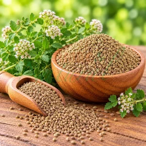 Ajwain
