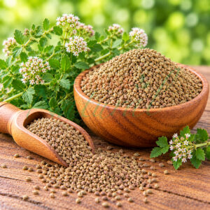 Ajwain