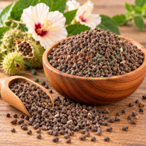 Ambrette Seed Oil