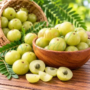 Amla, Dhai phal, Indian Gooseberry
