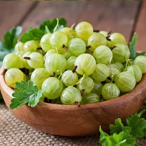 Amla Extract