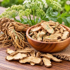 Angelica Oil