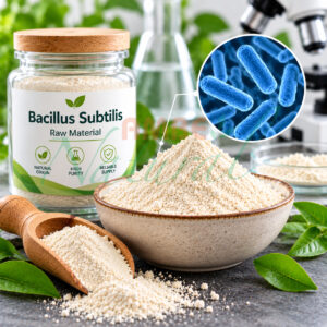 Bacillus Subtilis