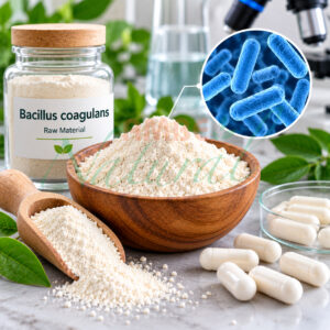 Bacillus coagulans