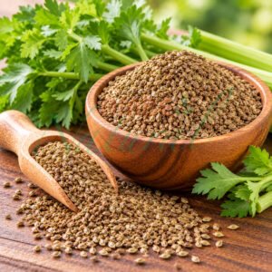 Celery Seed Oil