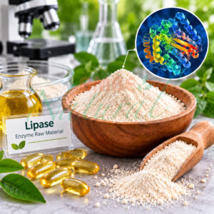 Lipase