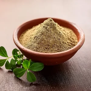 Organic Brahmi Powder