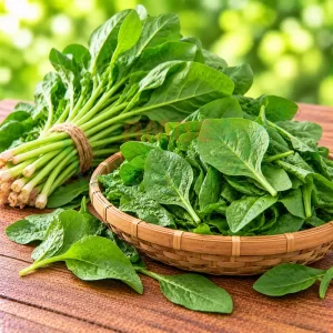 Palak / Spinach