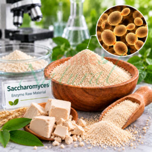 Saccharomyces