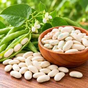 White Kidney Bean Extract