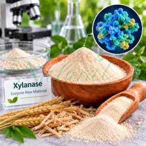 Xylanase