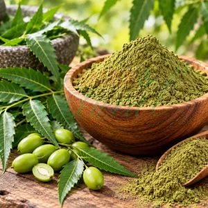 NEEM