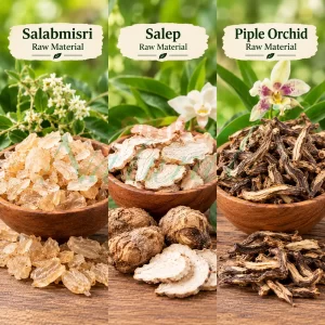 Salabmisri, Salep, Piple Orchid