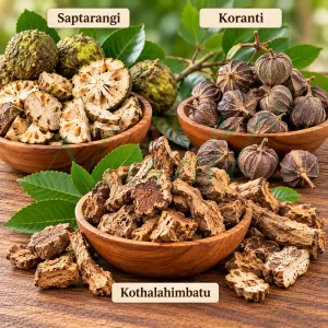 Saptarangi, koranti,kothalahimbatu